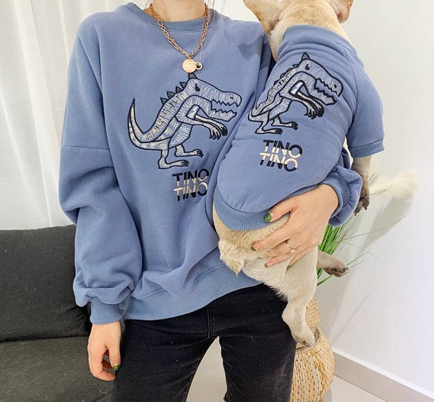 Pawsome Pets CA Dinosaur Love - Matching Pet and Owner Clothing Set Apparel