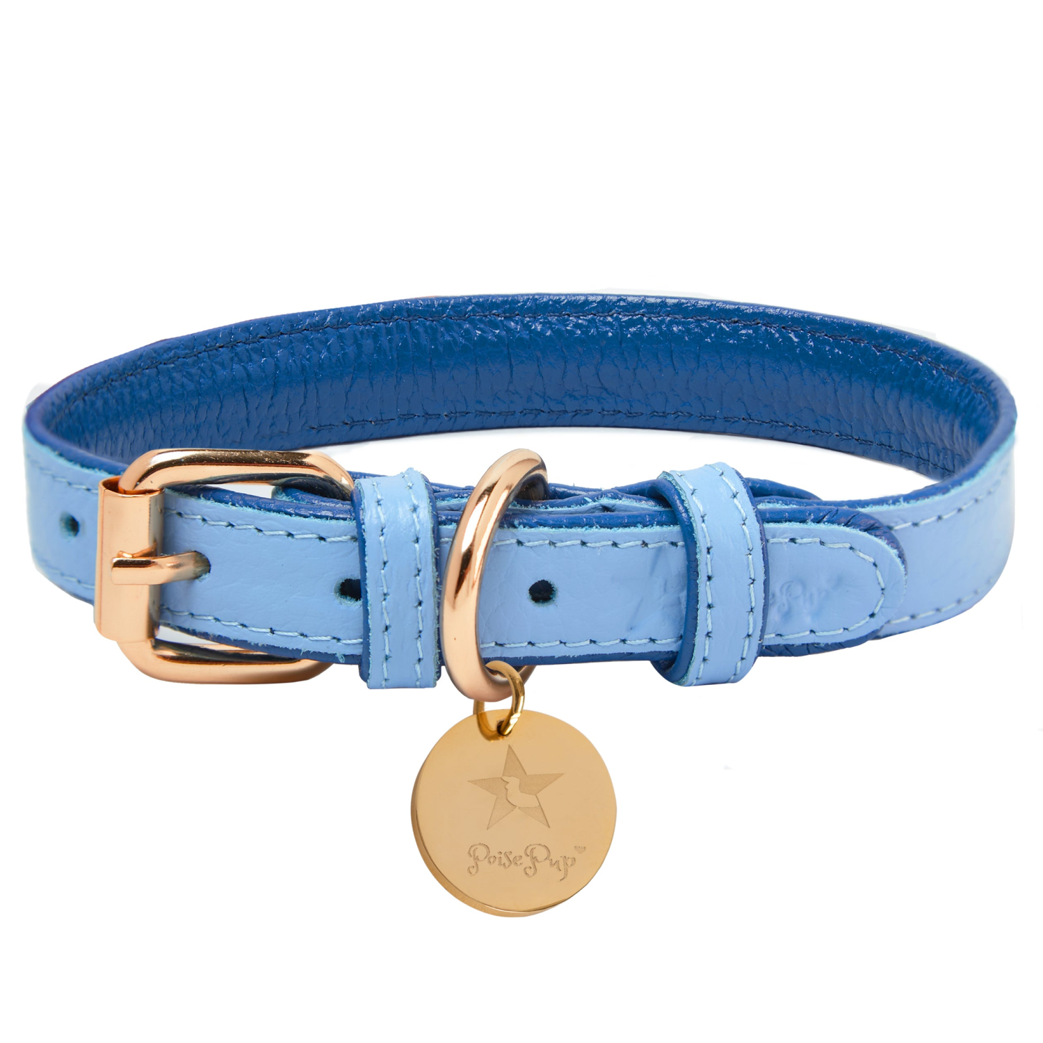 PoisePup Dog Collars PoisePup Dog Collar Dog Collars