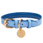 PoisePup Dog Collars