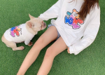 Pawsome Pets CA Teddy Bear - Matching Pet and Owner Clothing Set Apparel