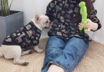 Pawsome Pets CA Apparel