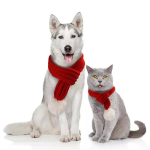 Pawsome Pets CA Apparel
