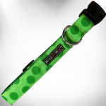 WalkeWoo Ltd Polka Dot Dog - Monotone Collars Dog Collars