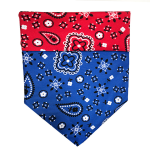 WalkeWoo Ltd Sport Bandana Dog Bandana