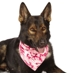 Pet Edge AR Camo Bandana Pnk Bandanas