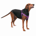 Pet Edge CC Nylon 2 Step Harness 25-40In Pur Harnesses