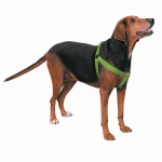 Pet Edge CC Nylon 2 Step Harness 9-15In Grn Harnesses