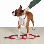 Pet Edge CC Nylon 2 Step Harness 9-15In Red Harnesses