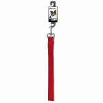 Pet Edge DGR 1in Nylon Lead 48in Red Leads