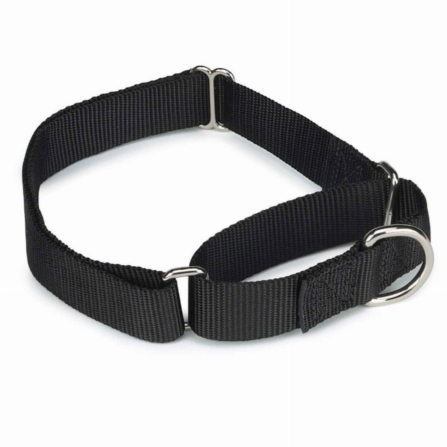 Pet Edge Collars Pet Edge GG Nylon Martingale Collar 10-16In Blk Collars