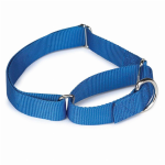 Pet Edge GG Nylon Martingale Collar 10-16In Blu Collars