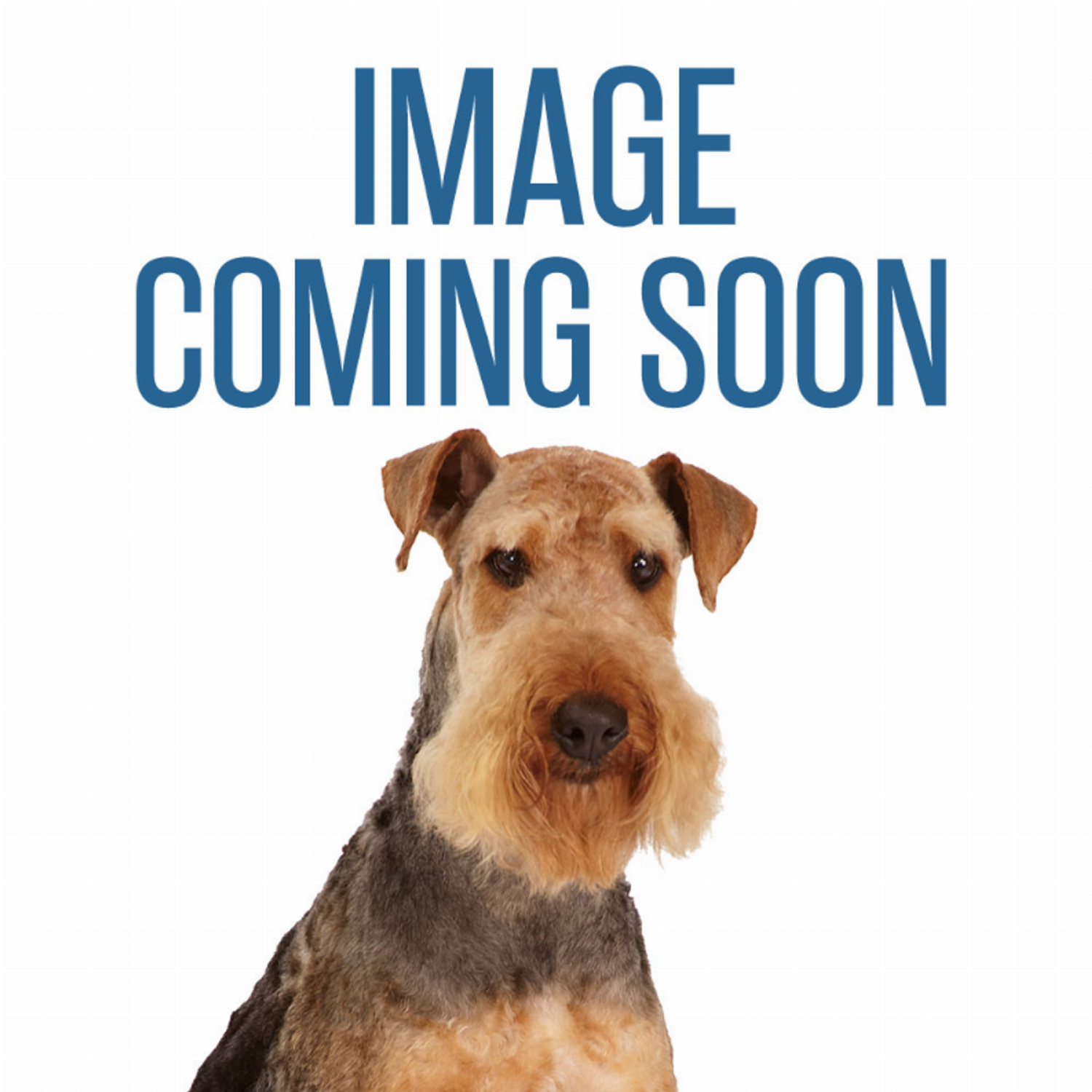 Pet Edge CHP Ultra Fat Headz Lrg Asst Unstuffies