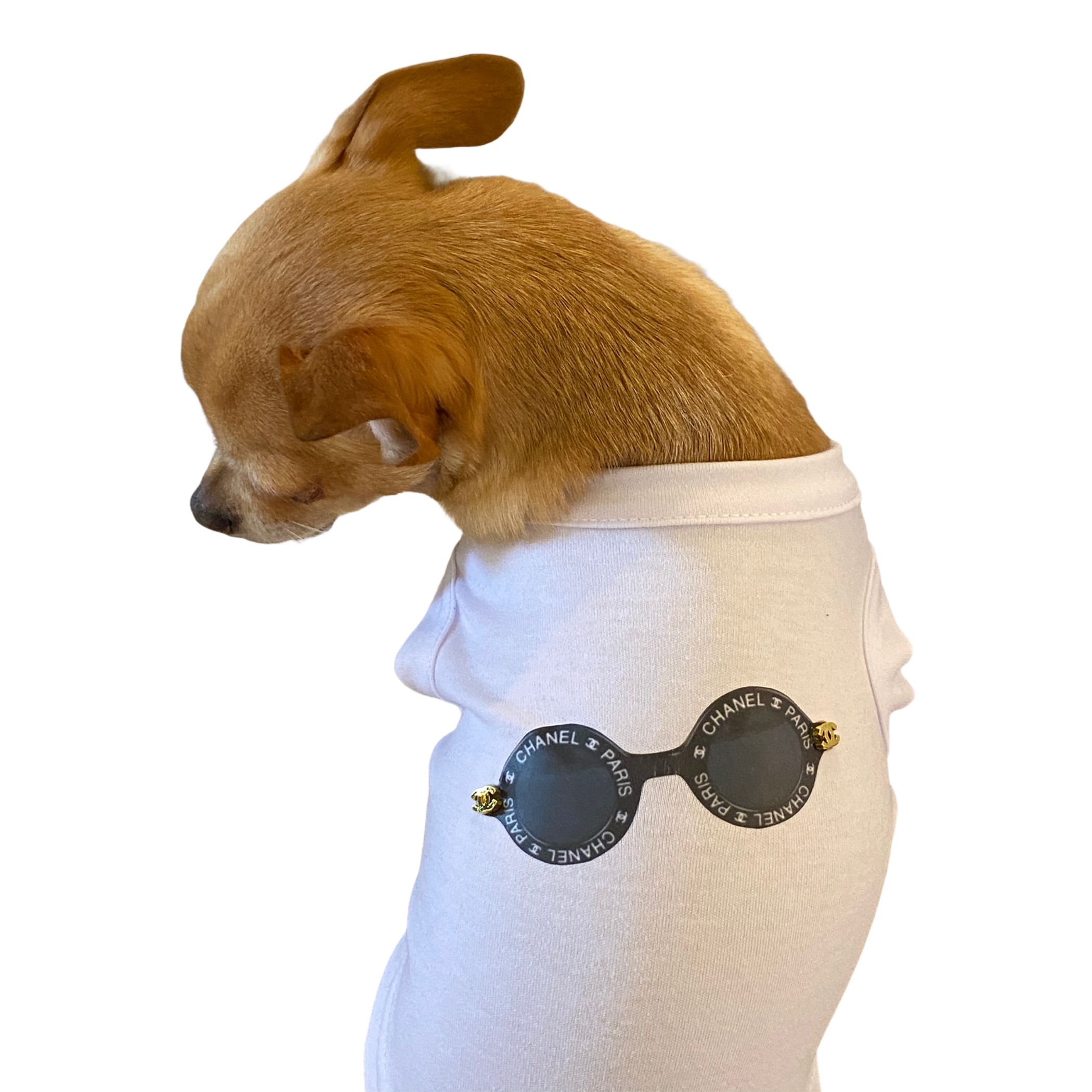 Bark Fifth Avenue My Summer CC Sunnies Dog Clothes