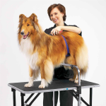 Pet Edge ME Adjustable Grooming Support Tables