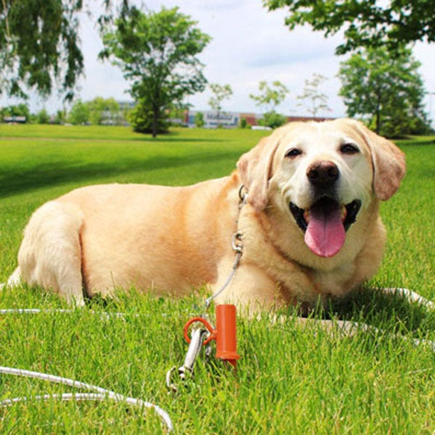 Pet Edge Prestige Interlock 360 Stake Tie-Outs