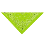 Pet Edge TP Paisley Bandana Lt Grn Bandanas