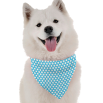 Bandoggies Dog Bandanas