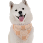 Bandoggies Dog Bandanas