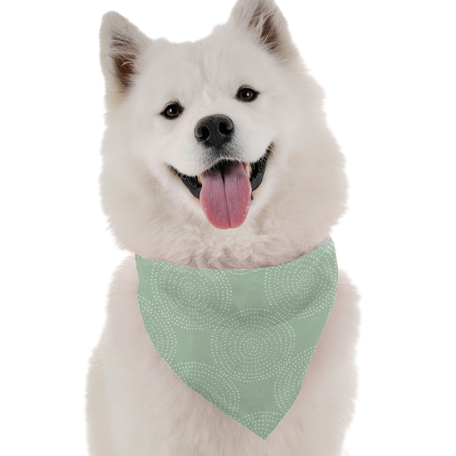 Bandoggies Eden Dog Bandanas