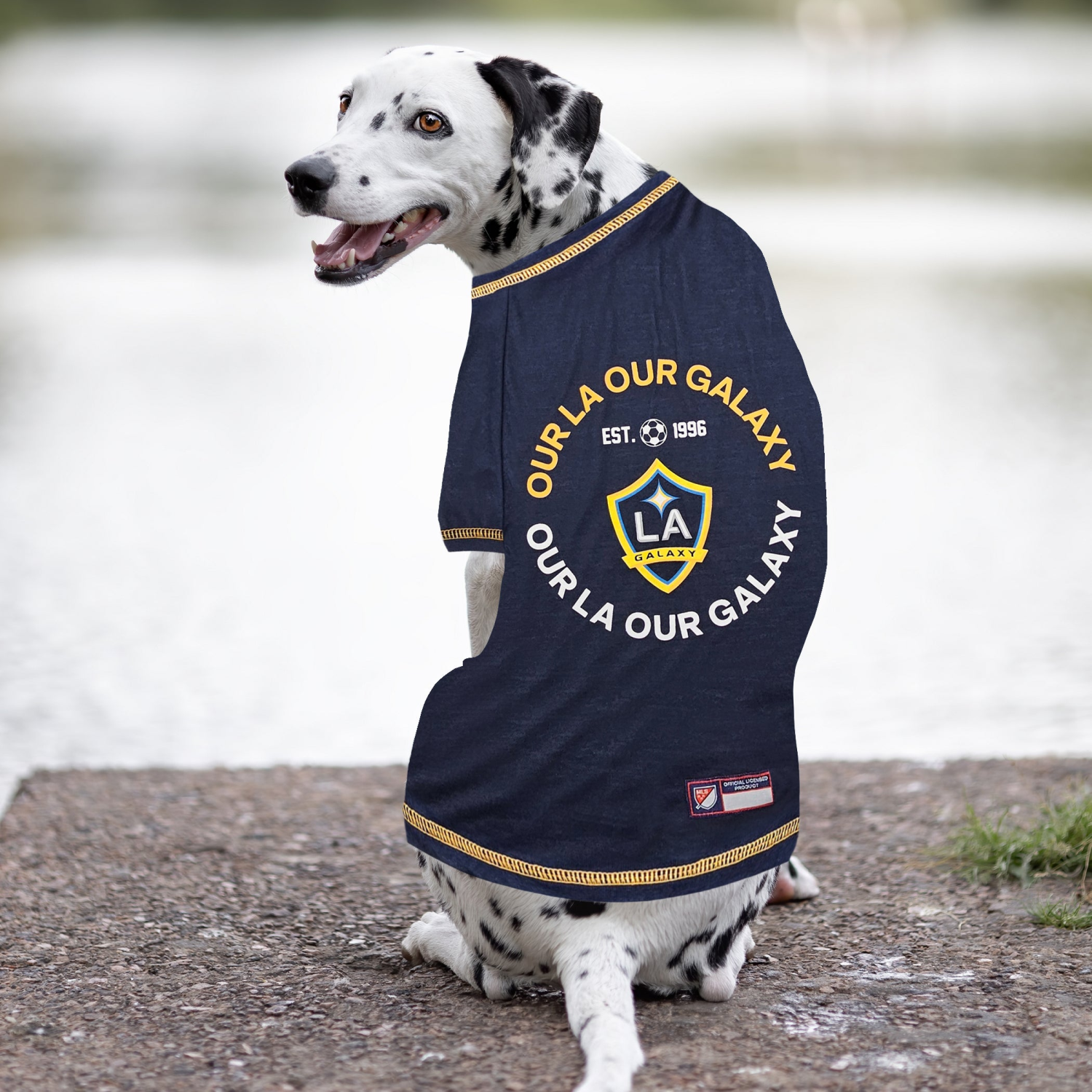 Pets First Co LA Galaxy Pet Tee Shirt Apparel