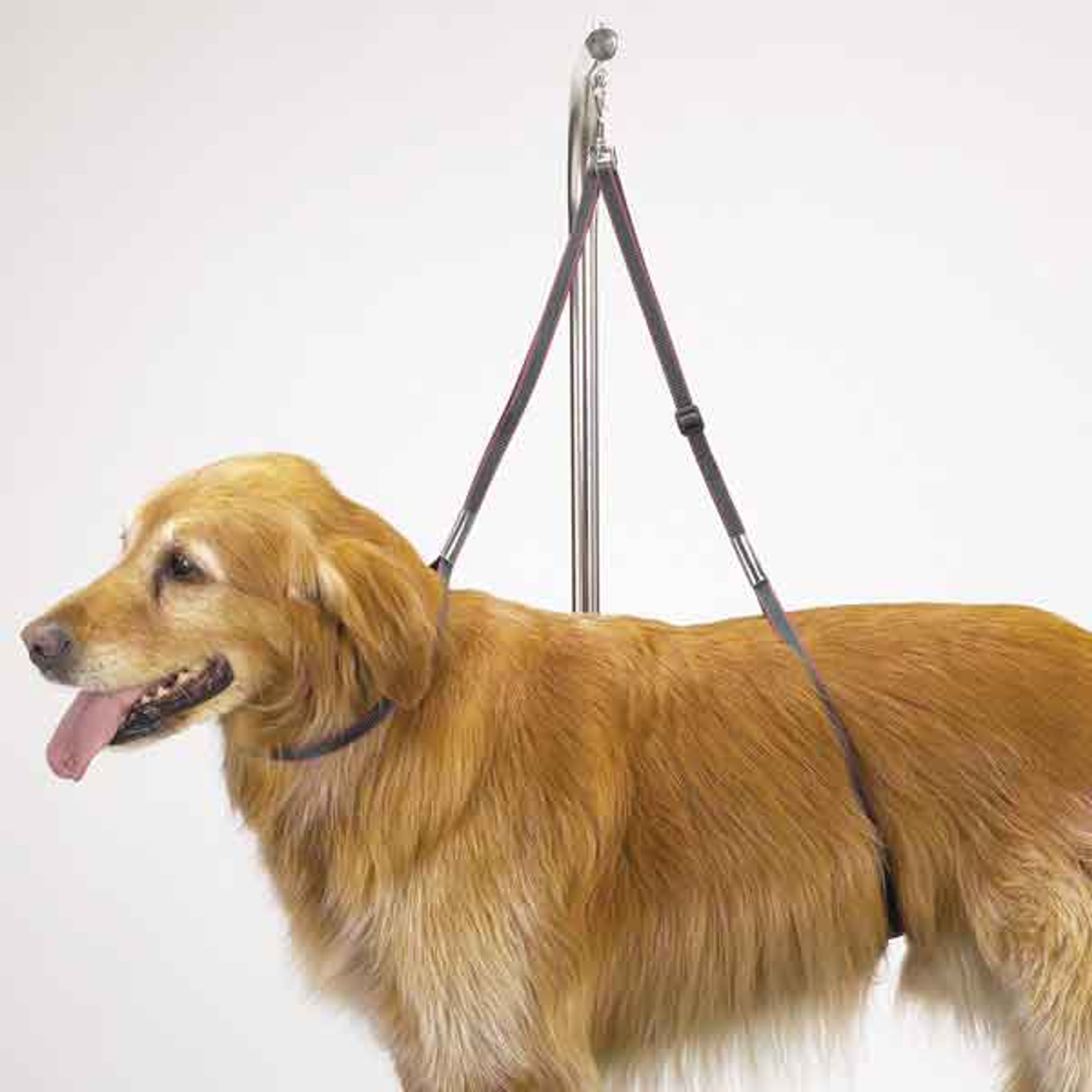 Pet Edge TP Nylon Table Harness 27In Tables