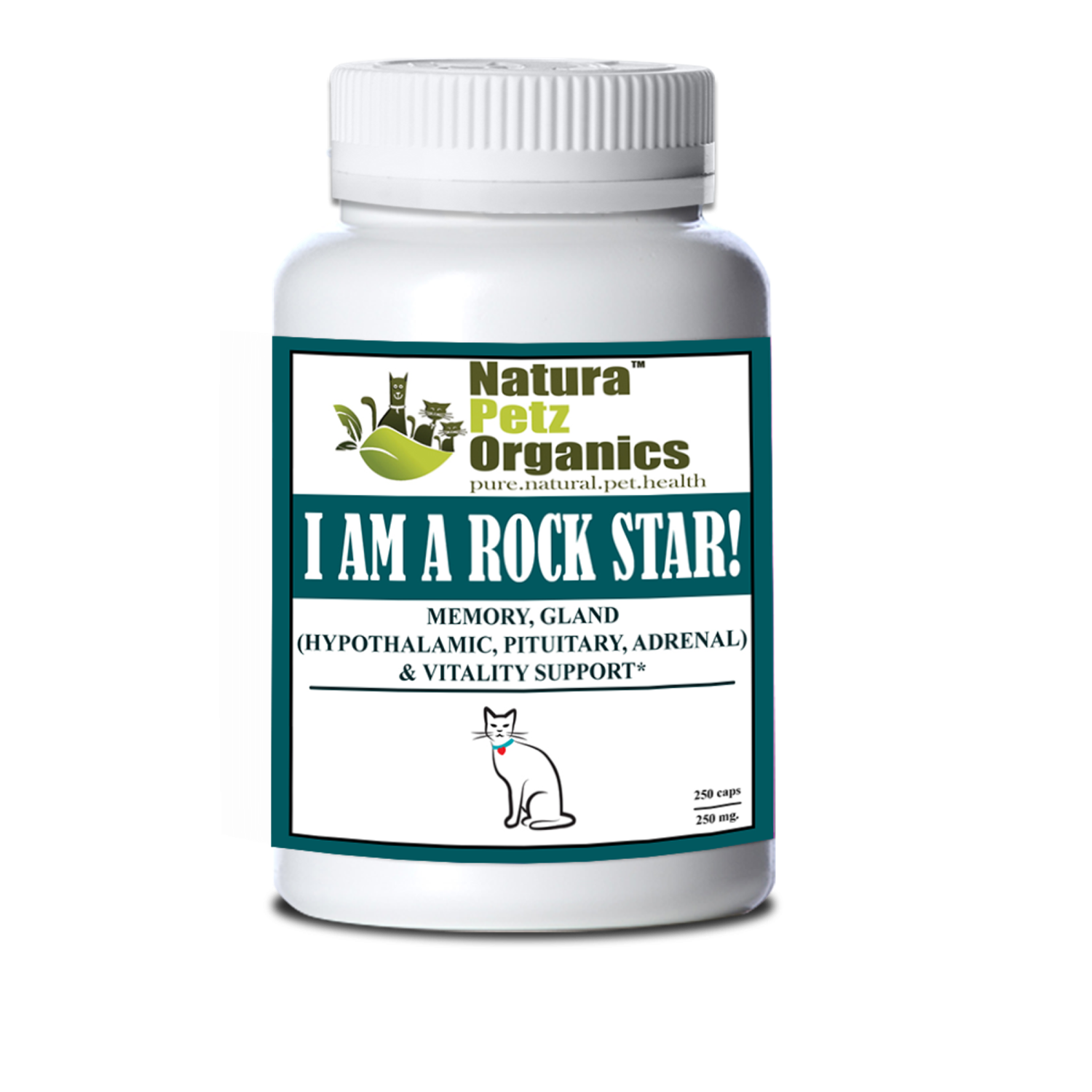 Organic Pet Systems I Am A Rock Star - Memory