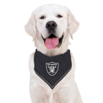 Pets First Co Las Vegas Raiders Tie Around Bandana Apparel