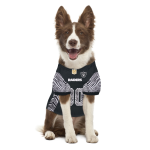 Pets First Co Las Vegas Raiders Zubaz Pet Jersey Apparel