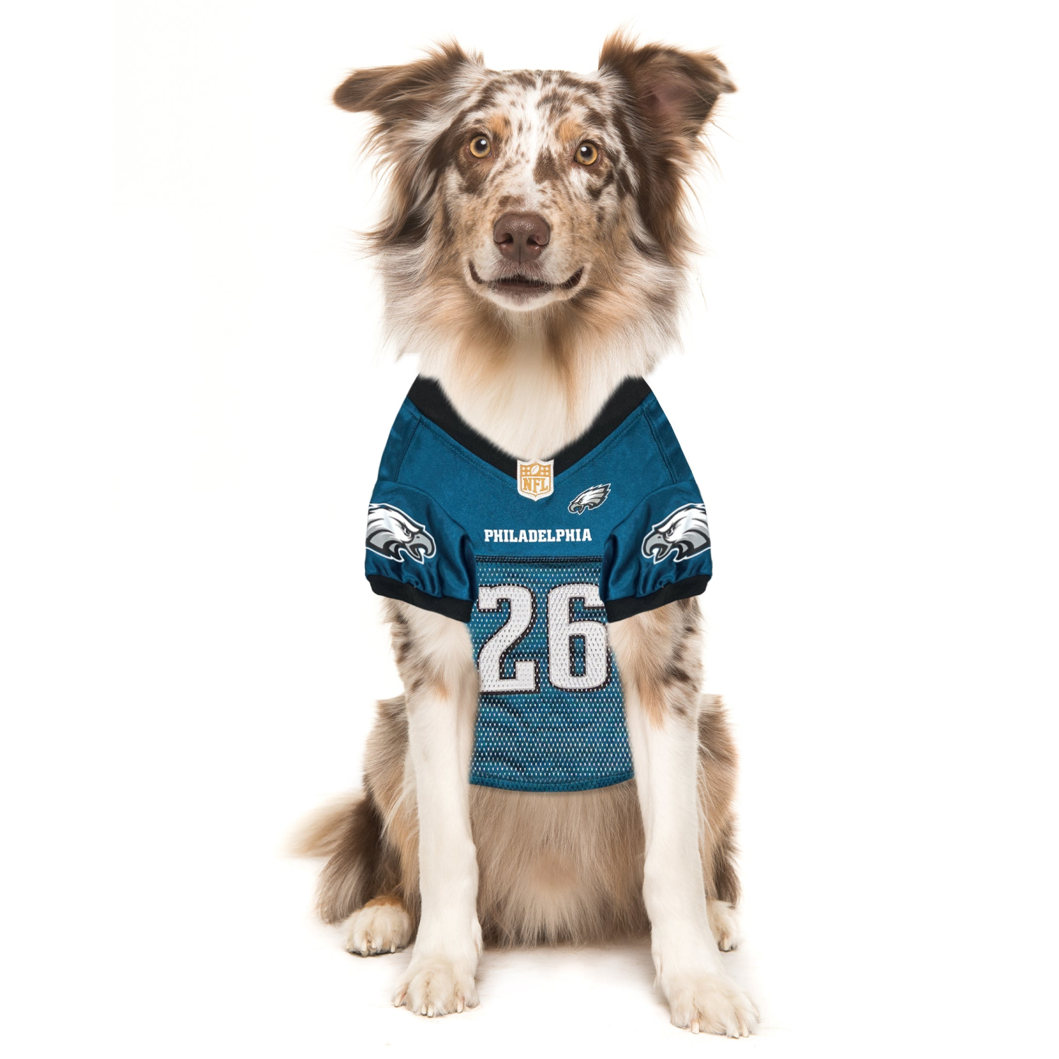 Pets First Co Apparel Pets First Co SAQUON BARKLEY PLAYER PET JERSEY (PHL) Apparel