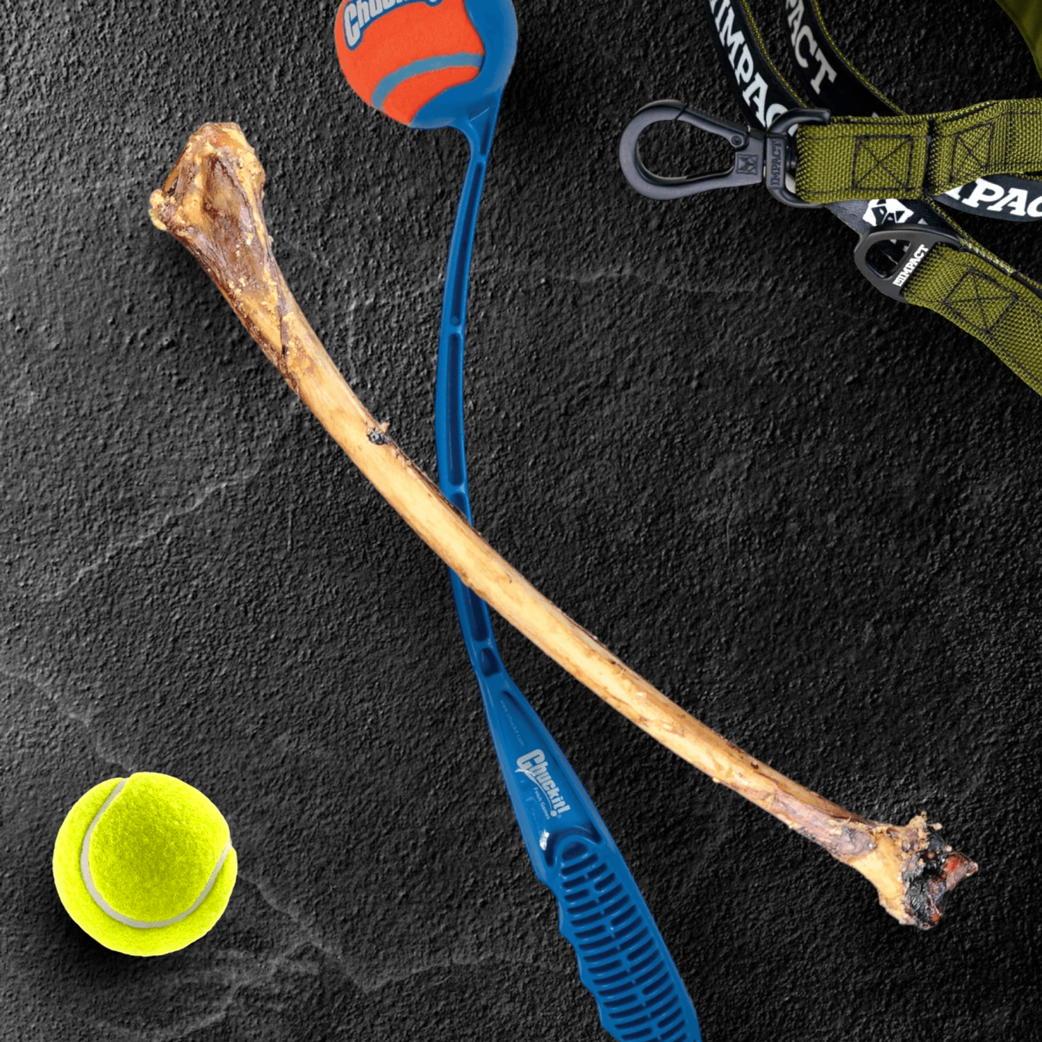 OstriTreats INC Ostrich Wing Bone : The Ultimate Long-Lasting Chew for Small Dogs & Light Chewers Dog Treats