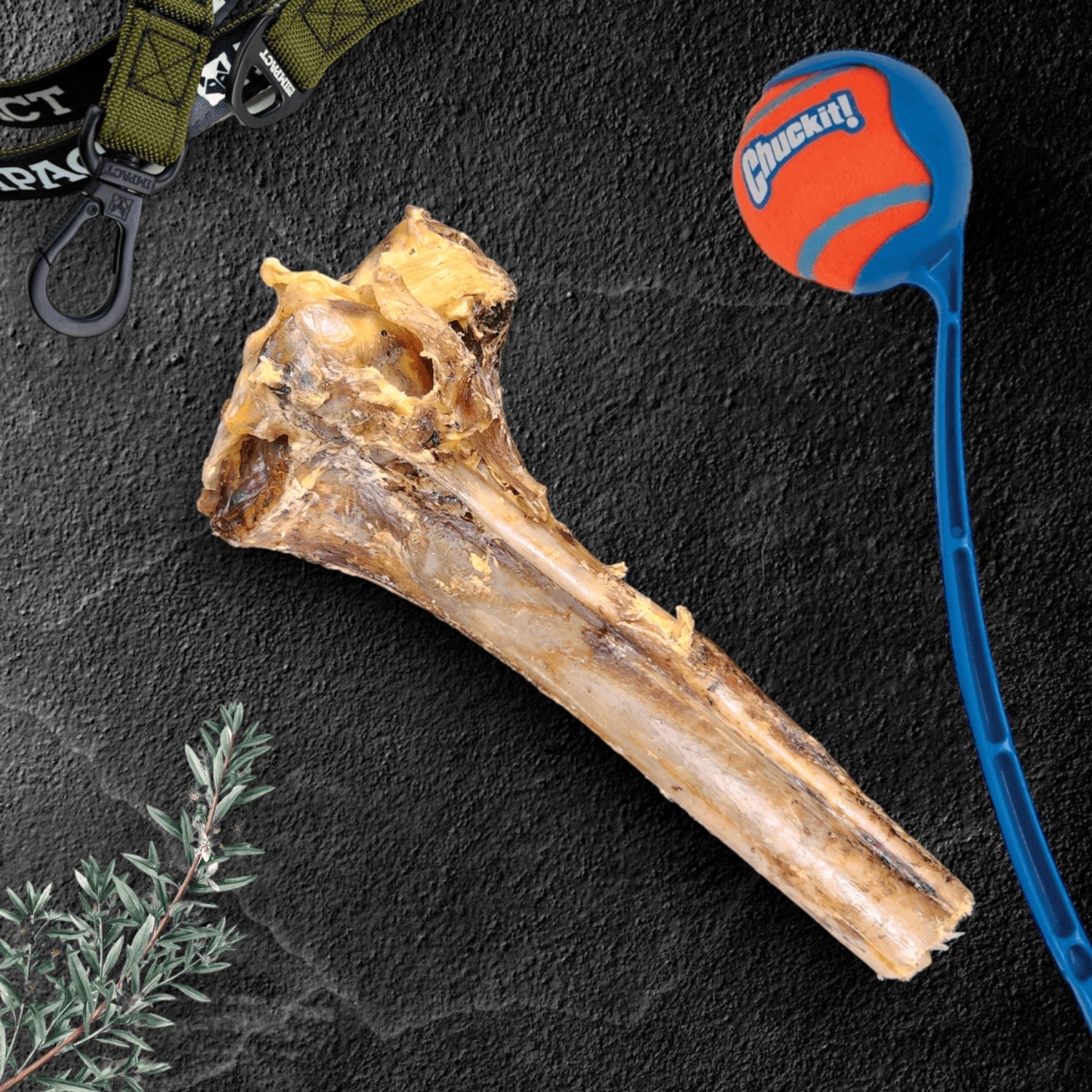 OstriTreats INC Large Ostrich Cane : The Ultimate Long-Lasting Chew for Medium
