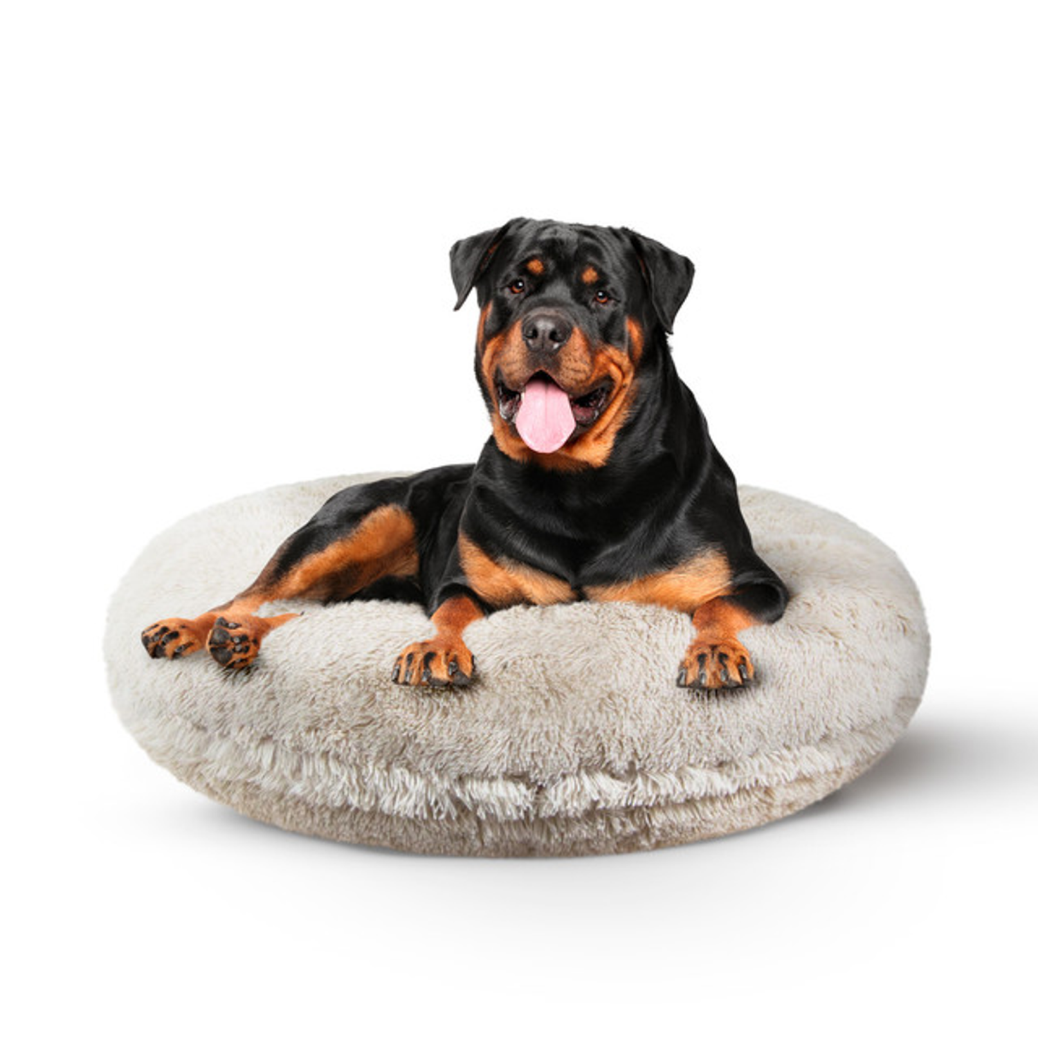 Bessie and Barnie Dog Beds Bessie and Barnie Bagel Bed XL - Blondie Dog Beds