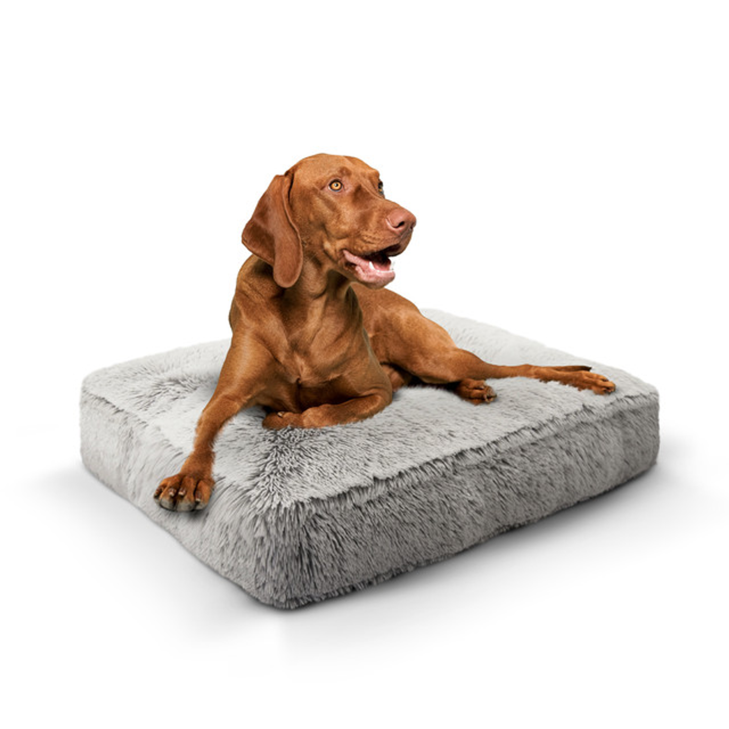 Bessie and Barnie Rectangle Bed LG - Frosted Snow Dog Beds