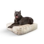 Bessie and Barnie Rectangle Bed  XL - Blondie Dog Beds