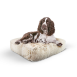 Bessie and Barnie Rectangle Bed LG - Blondie Dog Beds