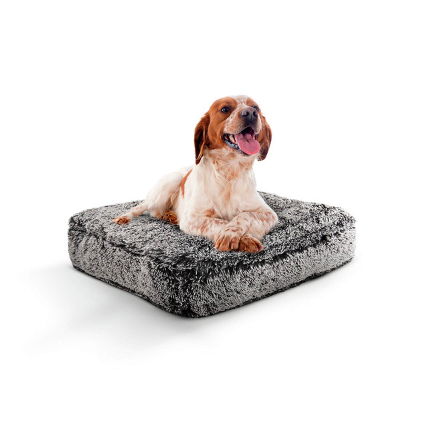 Bessie and Barnie Rectangle Bed MD - Midnight Frost Dog Beds
