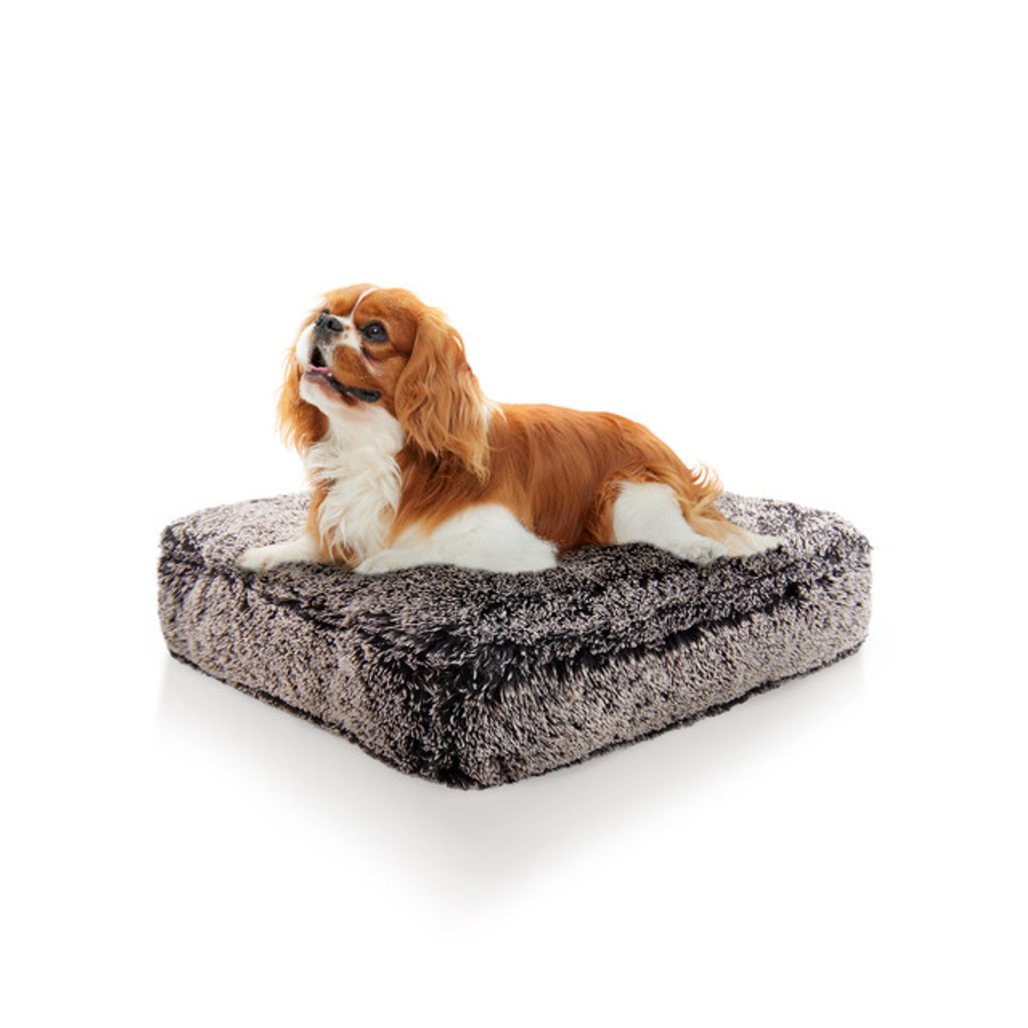 Bessie and Barnie Dog Beds Bessie and Barnie Rectangle Bed SM - Frosted Willow Dog Beds