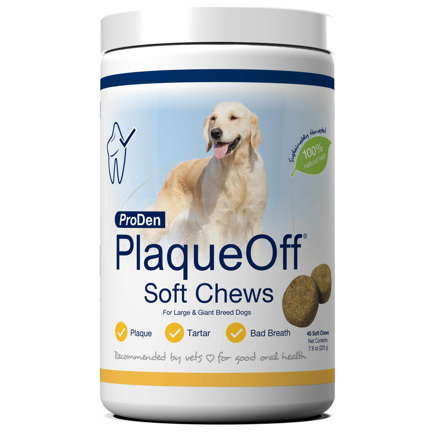 Pet Palette