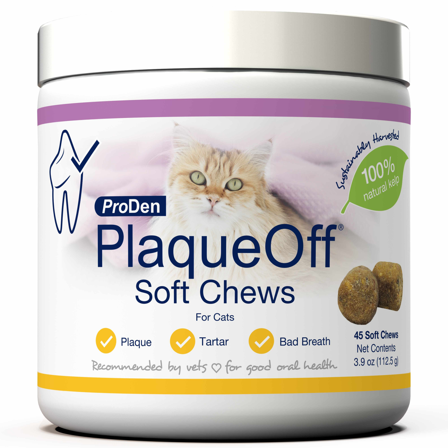 Pet Palette