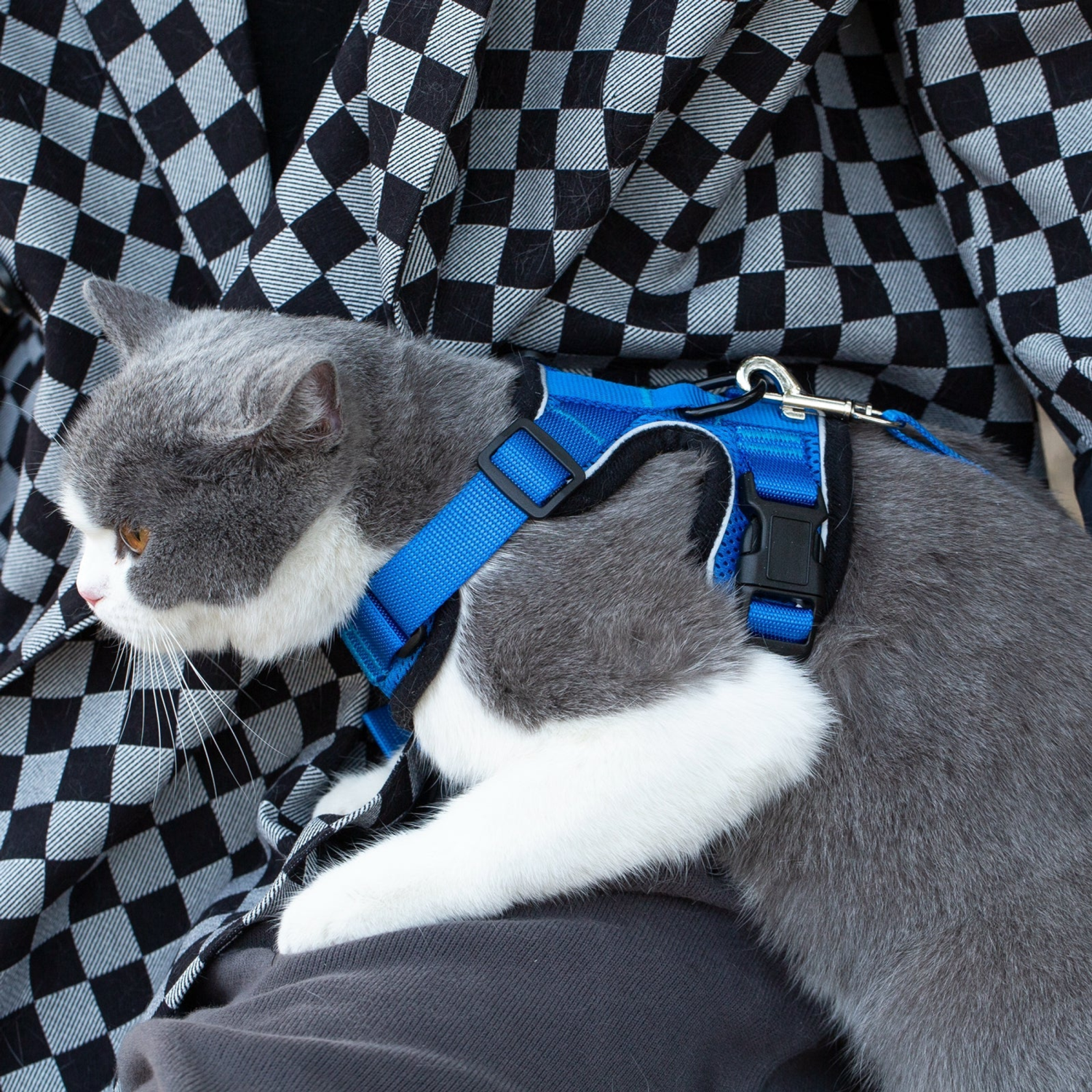 Mr. Peanut's Premium Products LLC Mr. Peanut's PurrTrek Reflective Cat Harness with Matching Leash Dog Leashes