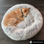 Mr. Peanut’s Premium Products LLC Dog Beds