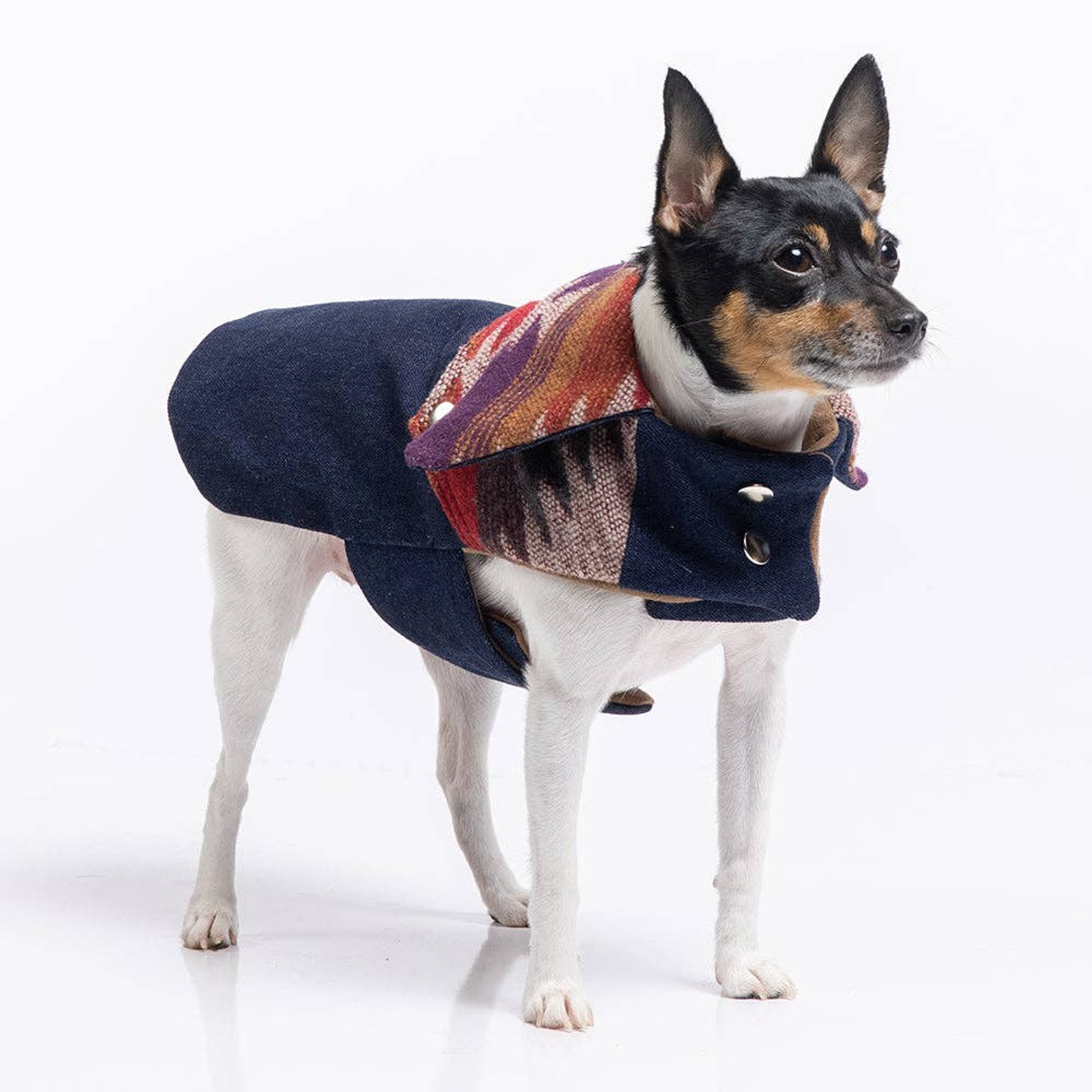 DoggieCoutureNY DCNY Ranch Coat Dog Clothes