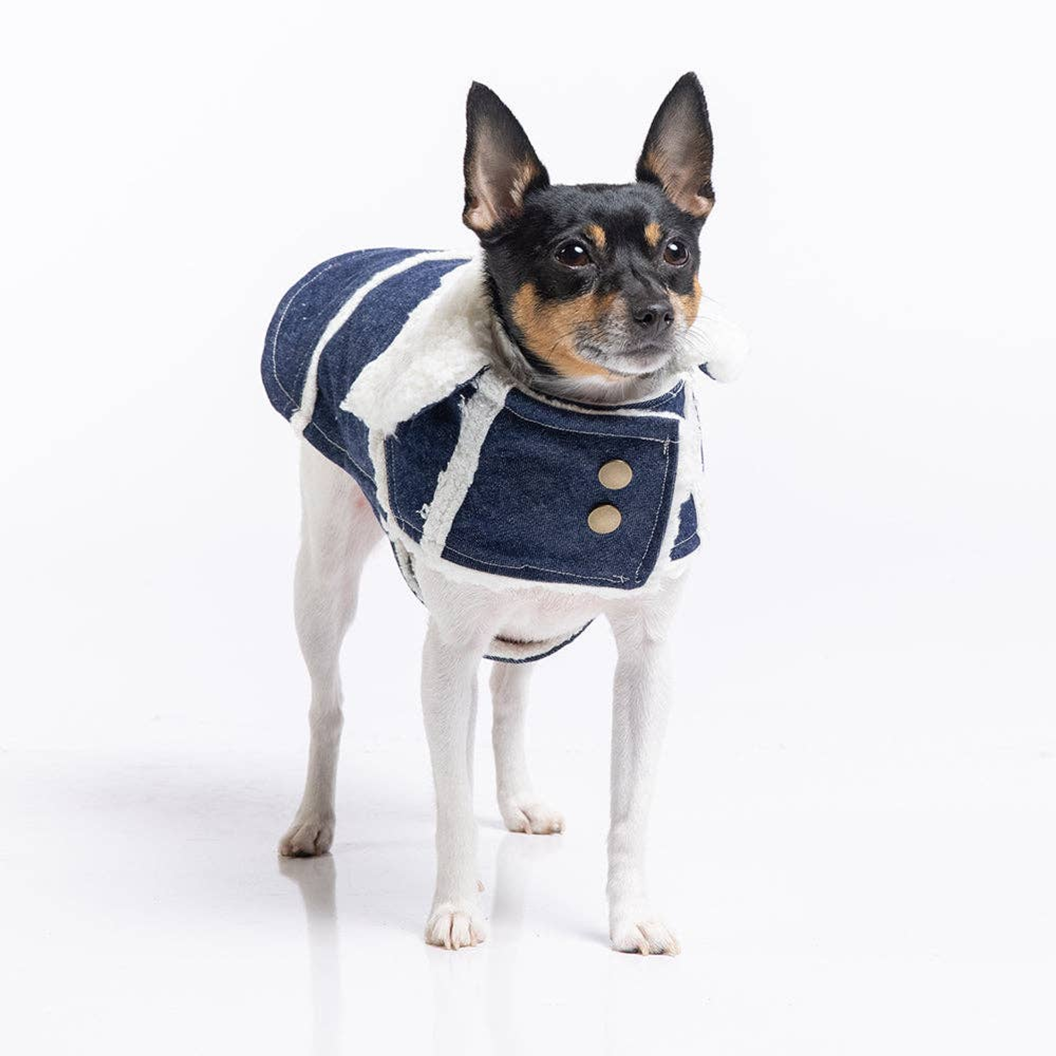 DoggieCoutureNY DCNY Ranch Coat Dog Clothes