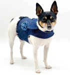 DoggieCoutureNY DCNY Harness Vest Dog Harnesses