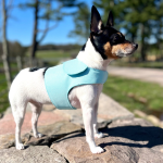 DoggieCoutureNY DCNY Harness Vest Dog Harnesses