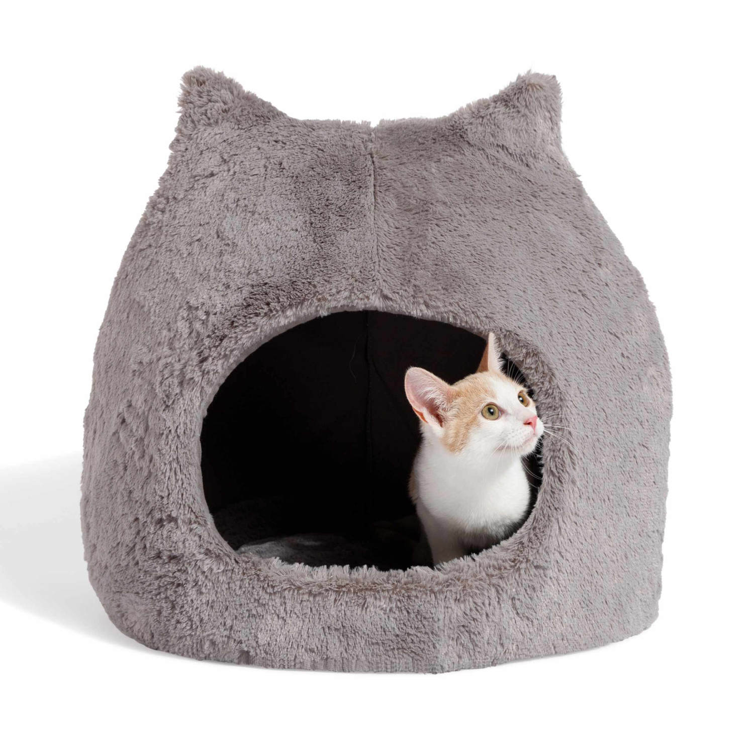 Pet Palette