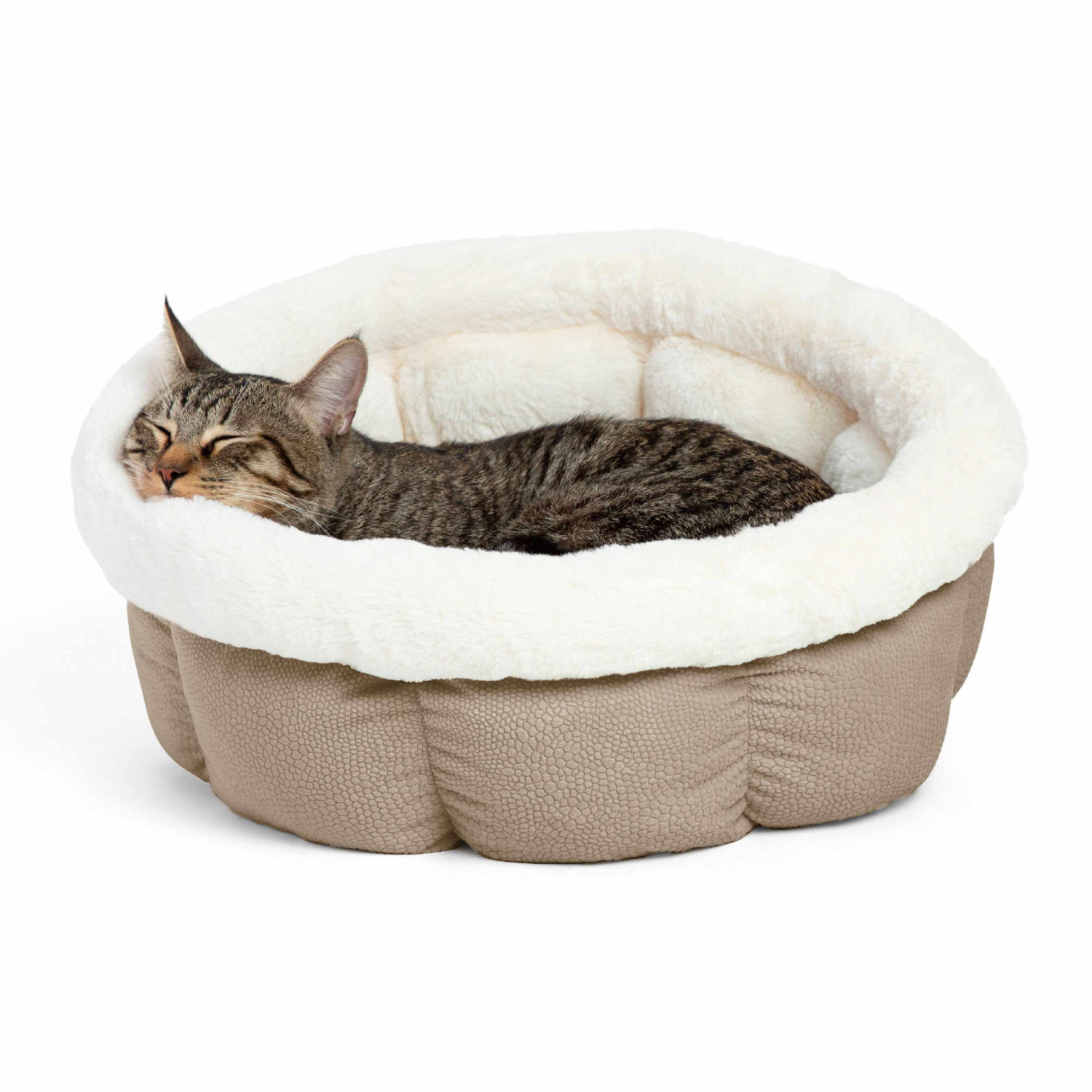 Pet Palette