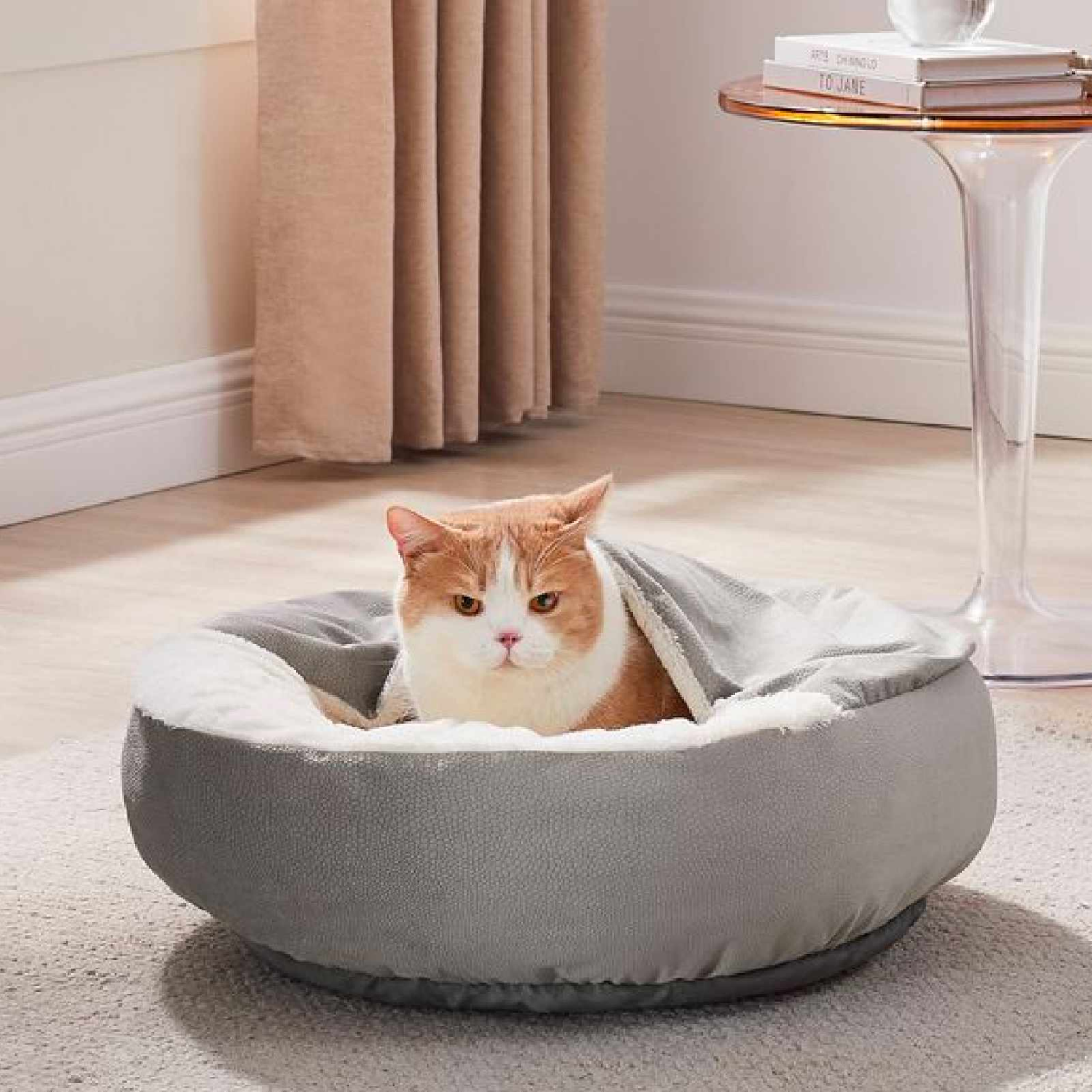 Pet Palette