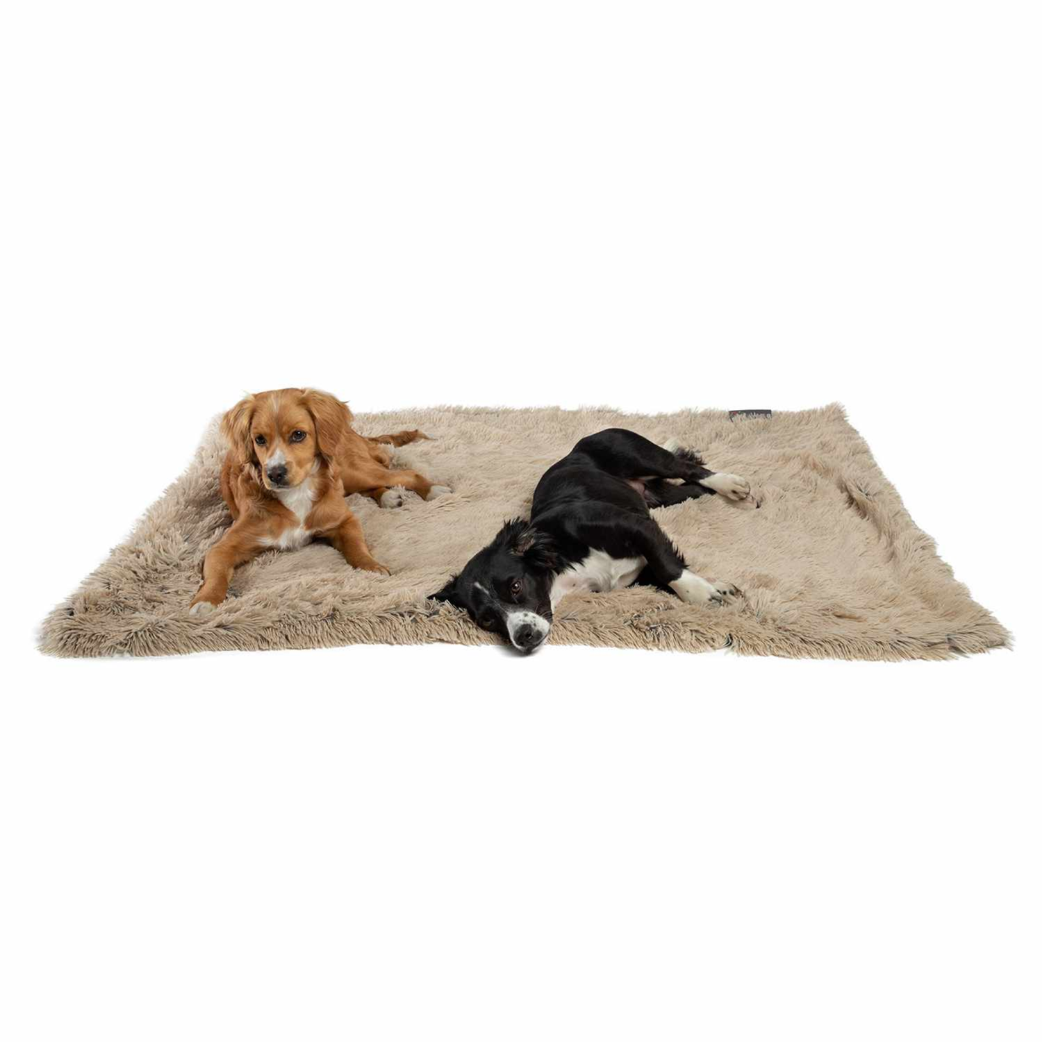 Pet Palette