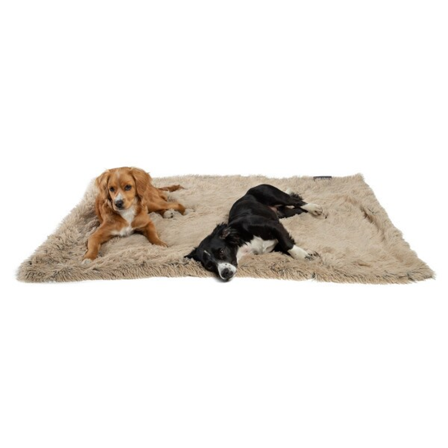 Pet Palette